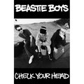 Poster Import Poster Import XPS5178 Beastie Boys Check Your Head Poster Print; 24 x 36 XPS5178